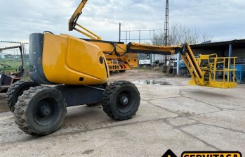 Miniatura 10