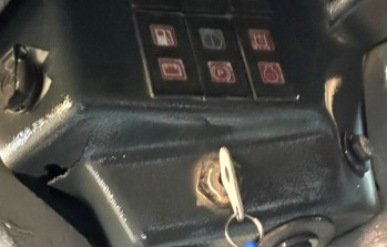 Miniatura 12